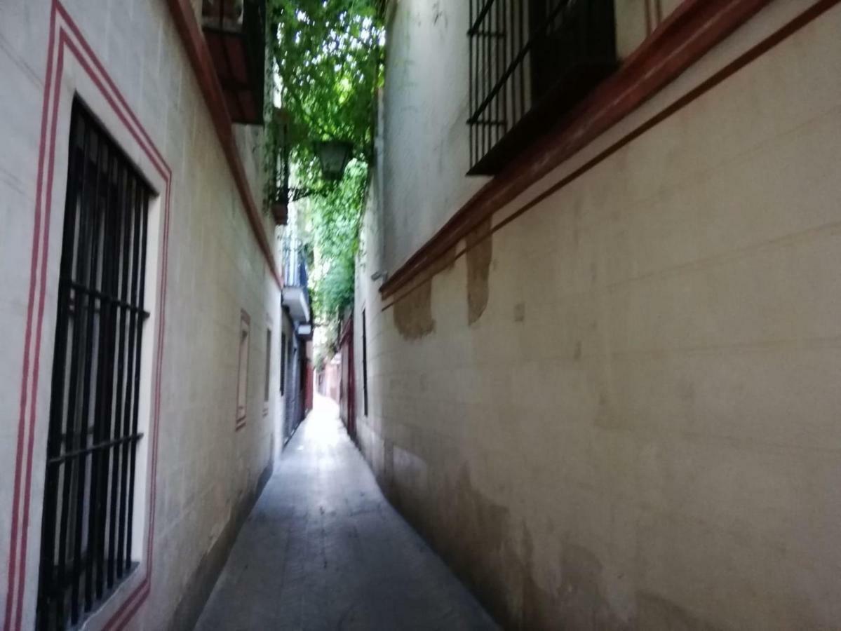 Apartamento En La Juderia De Sevilla Экстерьер фото